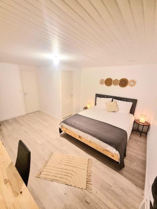 Appartement Neuf Rive-de-Gier Exterior foto
